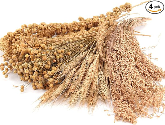 Hamster Organic Sprays Set = Wheat + Flax + Yellow Millet + Panicle Millet, Pet Habitat Bedding Decor, Natural Hamster Chews Accessories Supplies, for Gerbil, Mice, Guinea Pig, Chinchilla, 4 sprays