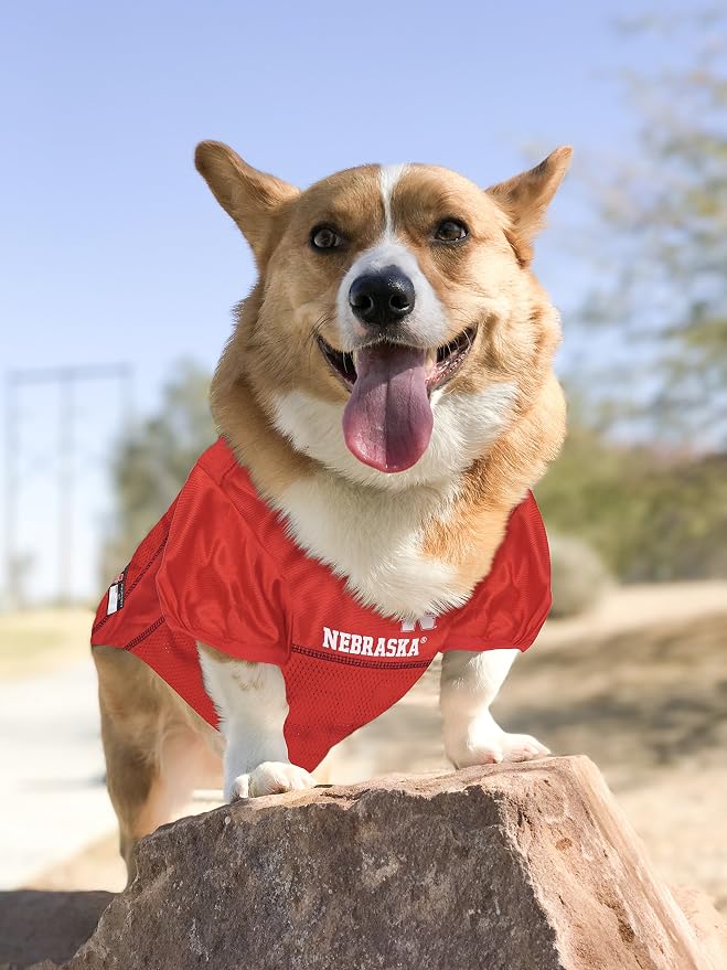 Pets First NCAA College Nebraska Cornhuskers Mesh Jersey for DOGS & CATS, XX-Large. Licensed Dog Jersey with your Favorite Football/Basketball College Team