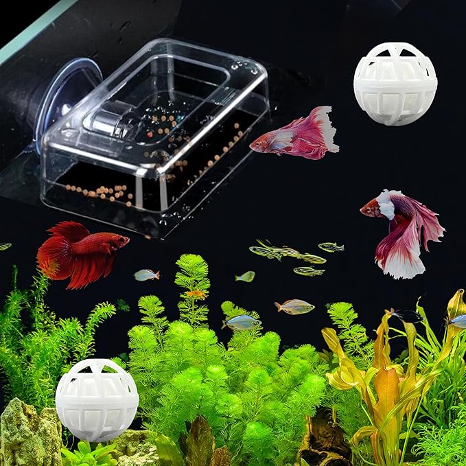 Acrylic Fish Feeding Box Ring for Turtle and Filter Balls Set, Betta Feeding Ring with Nitrifying Balls, Fish Feedings Box, Food Holder, Turtles Enrichment Toys, Tank Accessories (Clear, S)