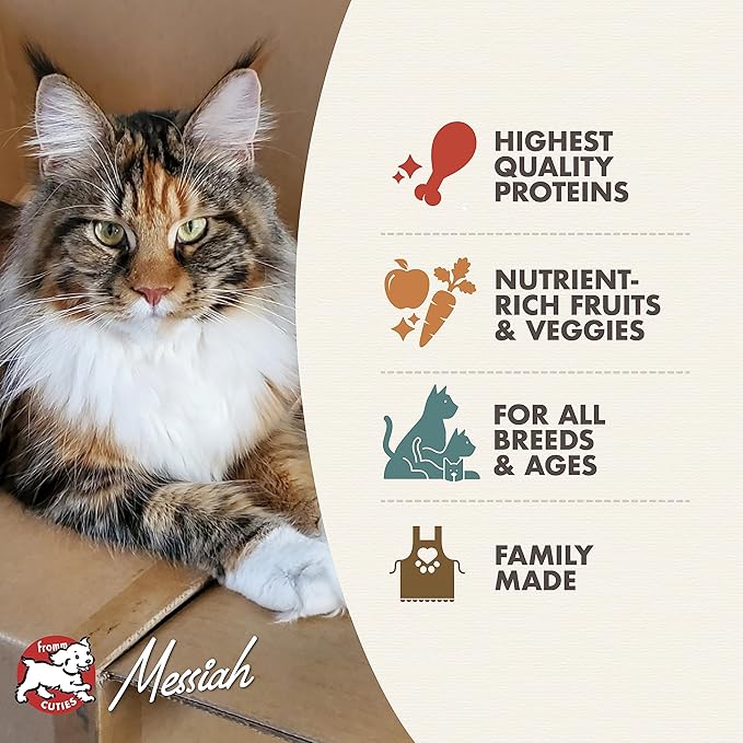 Fromm Four-Star Nutritionals Game Bird Cat food - Premium Dry Cat Food - Turkey Recipe - 10 lb