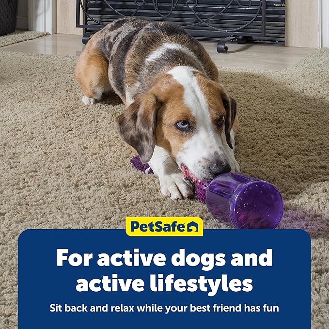 PetSafe Busy Buddy Tug-A-Jug Dog Toy Slow Feeder and Trainer Small