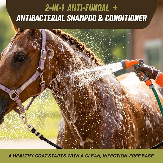 Saratoga Veterinary Product Antifungal Shampoo for Horses - Antibacterial Horse Shampoo and Conditioner - Effective Antifungal Horse Shampoo - Professional Quality Equine Care (1 Gallon)