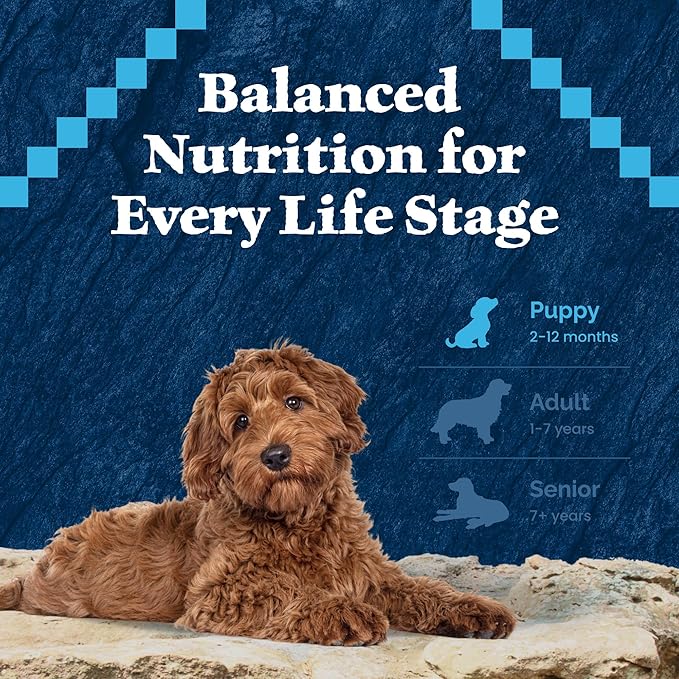 Blue Buffalo Wilderness High-Protein Natural Dry Food for Puppies, Salmon Recipe, 13-lb. Bag