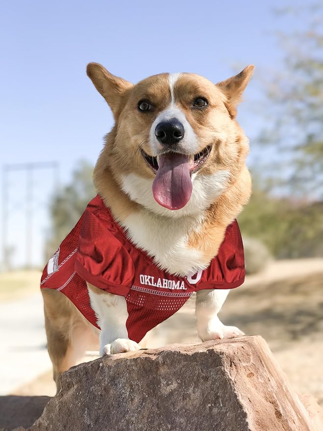 Pets First NCAA College Oklahoma Sooners Mesh Jersey for DOGS & CATS, Medium. Licensed Dog Jersey with your Favorite Football/Basketball College Team