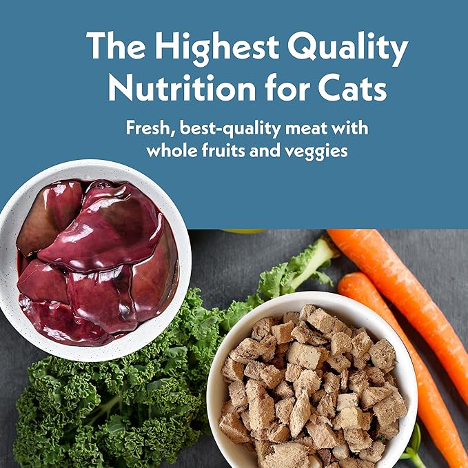Fresh Is Best Turkey Freeze Dried Cat Food – Raw Healthy Freeze Dried Cat Treats in Resealable Zipper Bag – High-Protein Complete Meal for All Breeds and Sizes – Made in the USA