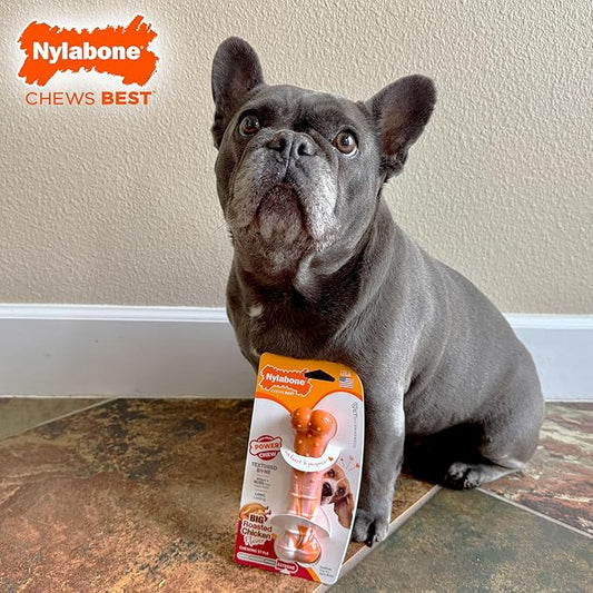 Nylabone Limited Edition 70th Birthday Textured Bone Power Chew Toy for Dogs, Durable & Tough Dog Toys for Aggressive Chewers, Roasted Chicken Flavor, Medium Dogs - Up to 35 lbs (1 Count)