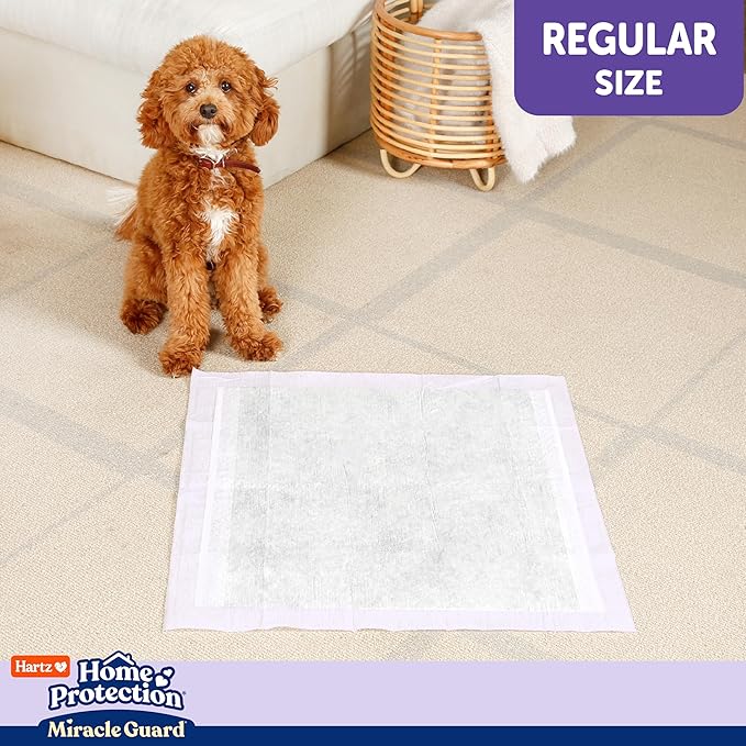 Hartz Miracle Guard Dog and Puppy Dog Pads Max Absorbency 24 Hour Use Odor Eliminating Lavender Scented No Leaks, Regular Size 25 Count