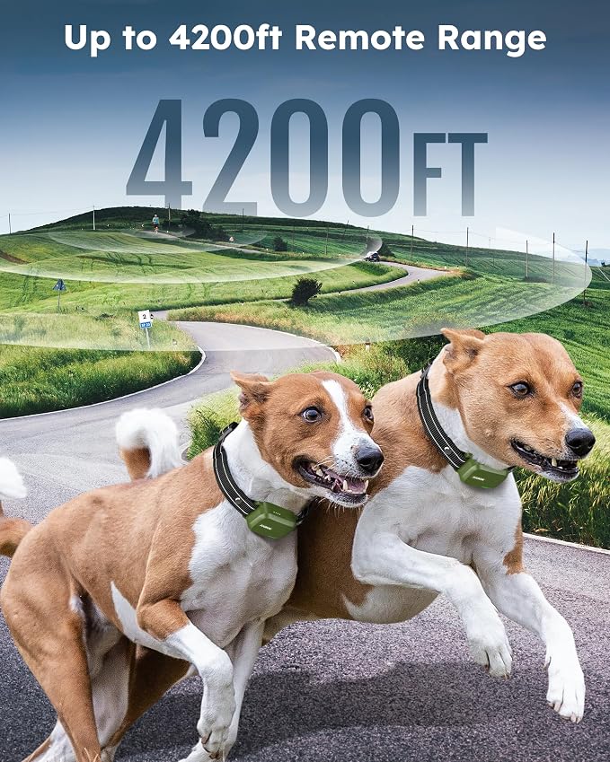 Dog Shock Collar 2 Dogs (10-120Lbs) - 4200FT Dog Training Collar with Remote IPX7 Waterproof Electric Collar with 4 Training Modes, Security Lock, Rechargeable e-Collar for All Breeds, Sizes
