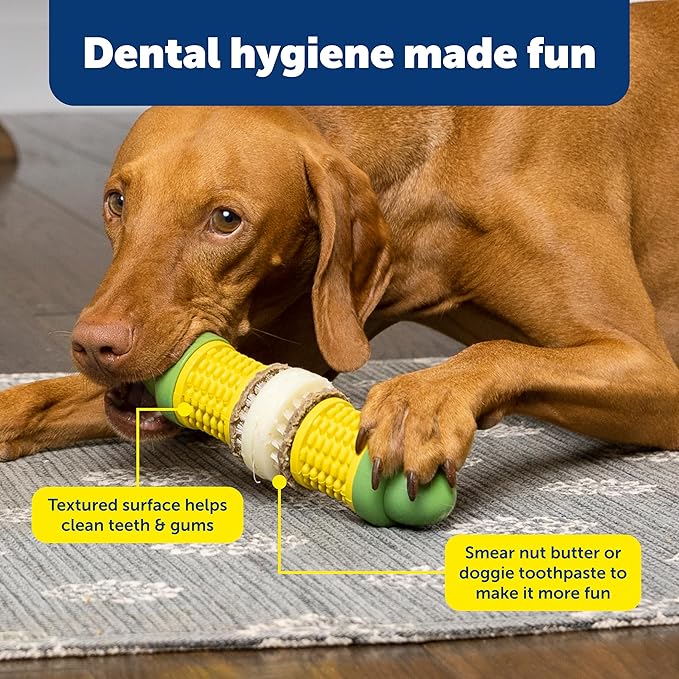 PetSafe Busy Buddy Cravin Corncob Dog Toys Treat Ring Holding Chew Toy BPA Free Rubber Butter Scented Interactive Pet Puzzle for Boredom or Separation Anxiety Small to Large Dogs