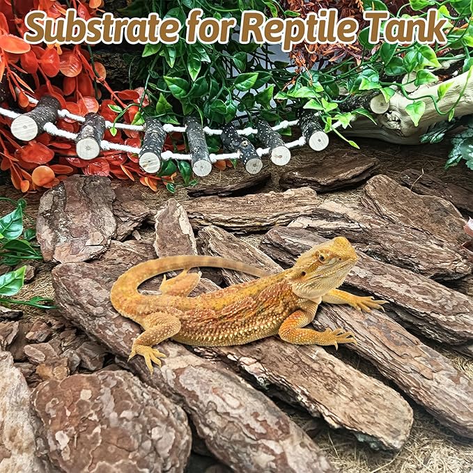 BNOSDM Large Reptile Pine Bark Substrate Tortoise Bed for Habitat Natural Flat Pine Wooden Bulk Terrarium Reusable Bark Pieces for Leopard Gecko, Spider, Chameleon, Ball Python, Tree Frog