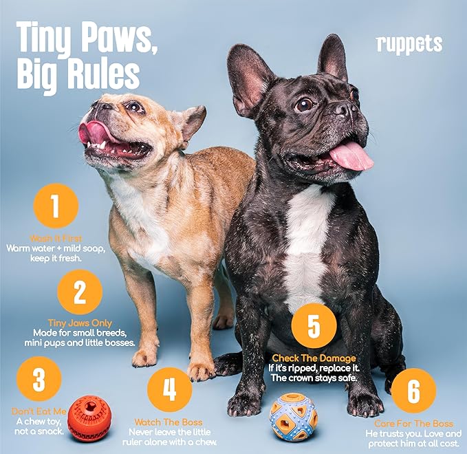 Dog Treat Dispensing Toy for Small Dogs – 2 Pack Natural Rubber Balls for French Bulldog, Chihuahua, Dachshund – Dental Chew + Treat Puzzle Ball, Mental Stimulation, BPA Free