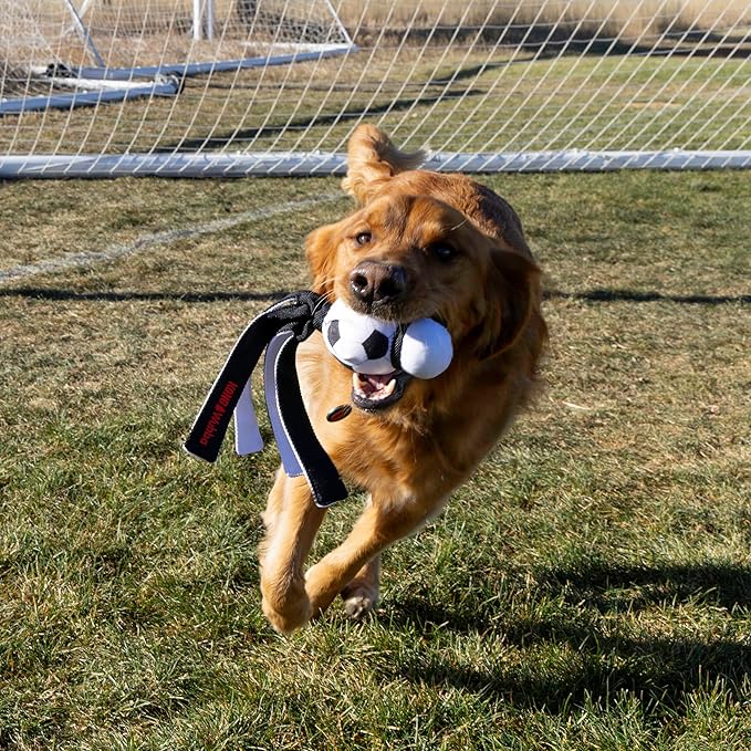 KONG Wubba Sport Dog Toy – Reinforced Tug & Toss Toy with Squeaker and Floppy Tails for Fetch & Interactive Play (Soccer, Large)