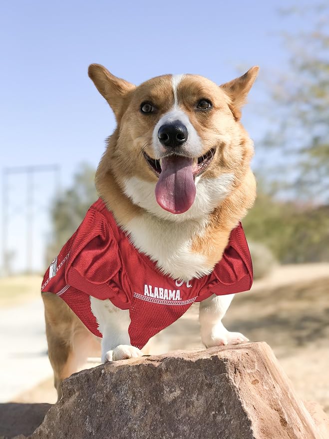 Pets First NCAA College Alabama Crimson Tide Mesh Jersey for Dogs & Cats, Size XX-Large, Licensed Dog Jersey with Your Favorite Football/Basketball College Team (Pack of 2)