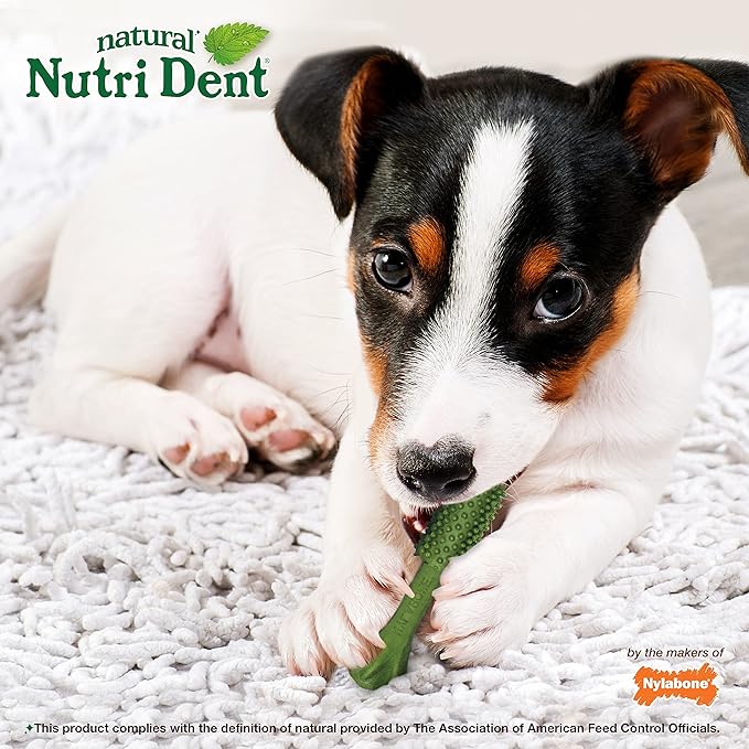 Nylabone Nutri Dent Dog Dental Chews - Natural Dog Teeth Cleaning & Breath Freshener - Dental Treats for Dogs - Fresh Breath Flavor, Small (28 Count) (Pack of 2)