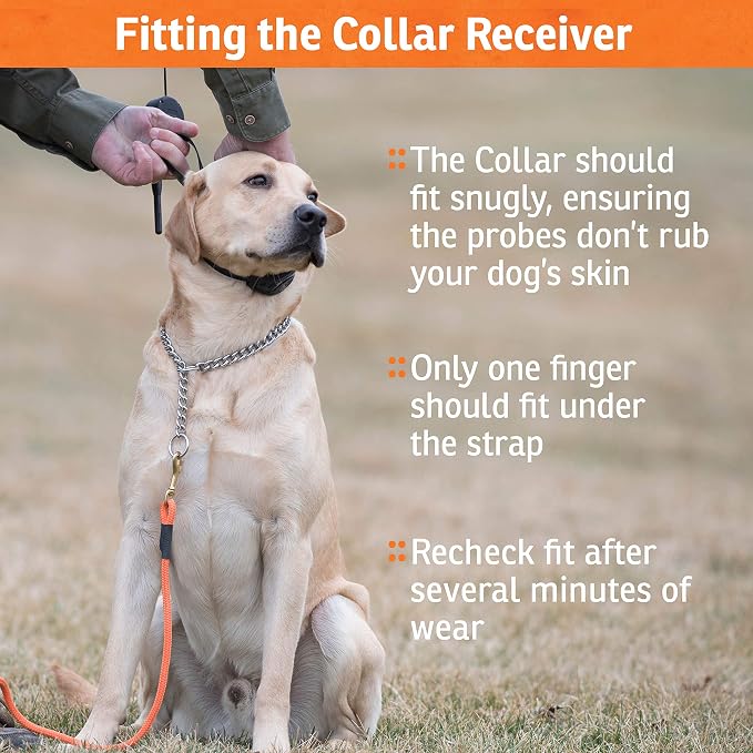 SportDOG NoBark SBC-8 - Lightweight Progressive Bark Correction Collar - Helps Discourage Nuisance Barking - Multiple Static Correction Levels