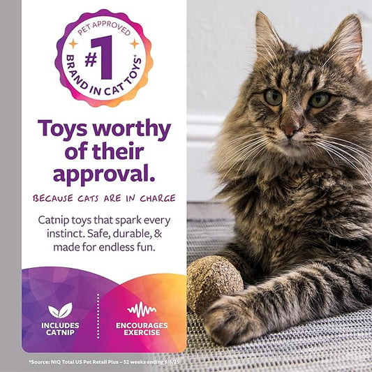 SmartyKat Catnip Toy, Compressed Catnip Ball for Indoor Cats & Kittens, Encourages Play with Less Mess, Cat Toy for All Ages, 5-Pack