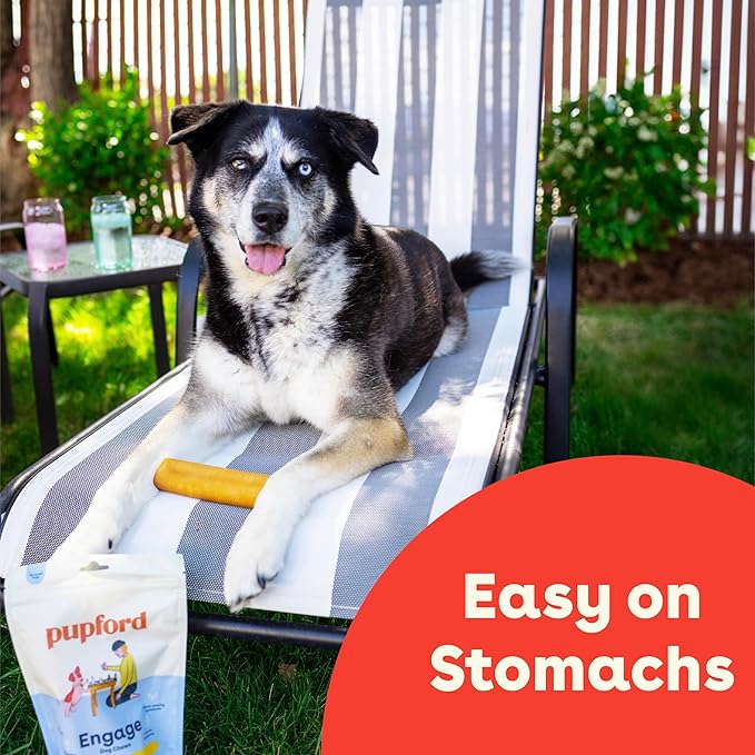 Pupford Yak Cheese Chews for Dogs & Teething Puppies, Natural, Long-Lasting Himalayan Dental Treats (3 Pack Jumbo)