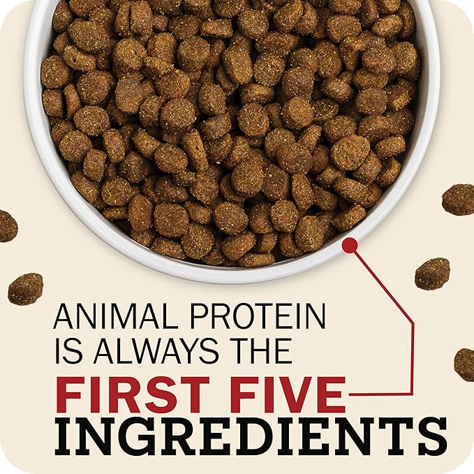 Redbarn Whole Grain Large Breed Dog Food 15 lbs - High Protein Beef & Lamb Recipe Dry Kibble with Glucosamine for Adult Dogs - Made in USA Chicken Free Wholesome Formula