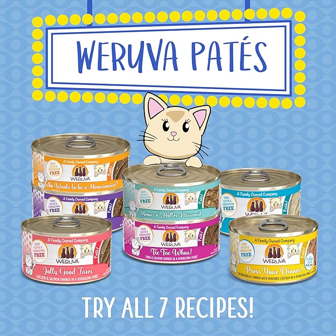 Weruva Wet Cat Food, Jolly Good Fares with Chicken and Salmon Pate, 3oz Can, Pack of 12