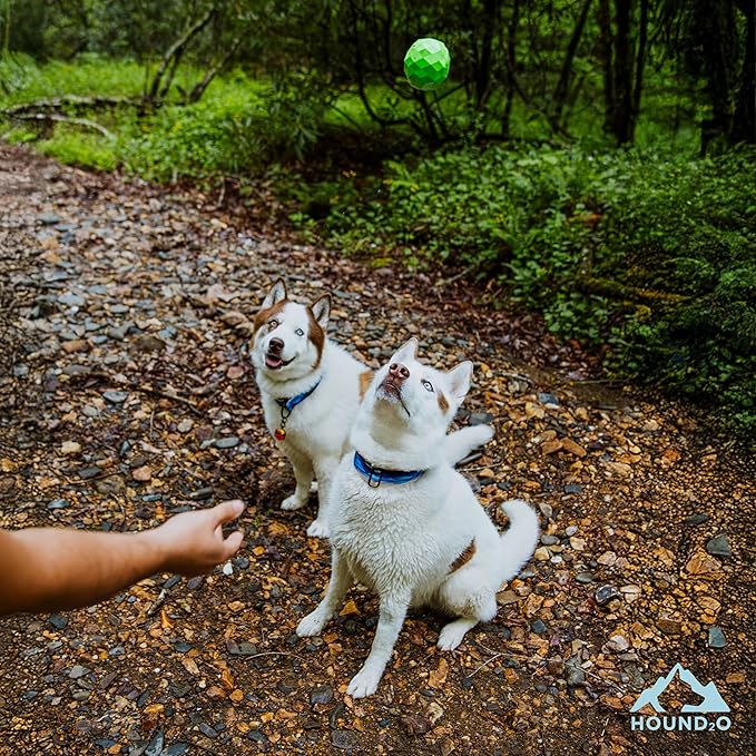 Dog Toys | Squeaky Fetch Ball for Dogs | Bright Green Floating Outdoor Dog Ball with Squeaker