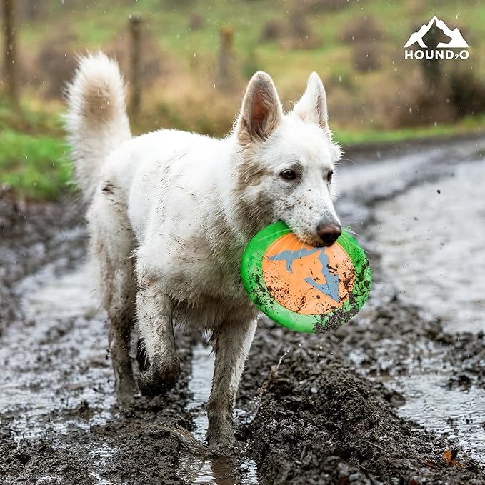 Playology HOUND2O Dog Toys | Reflective Flyer Toy Frisbee for Dogs | Orange Outdoor Dog Toy for Fetch