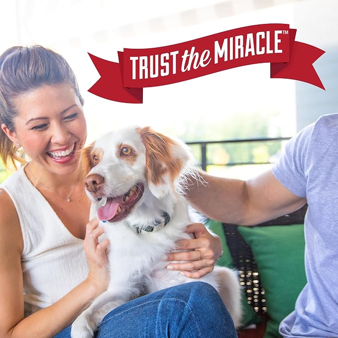 Nature's Miracle Freshening Spray for Dogs Freshens Dog’s Coat Between Baths and Neutralizes Tough Odors with Sunkissed Breeze Scent, 8 Ounces (Pack of 2)