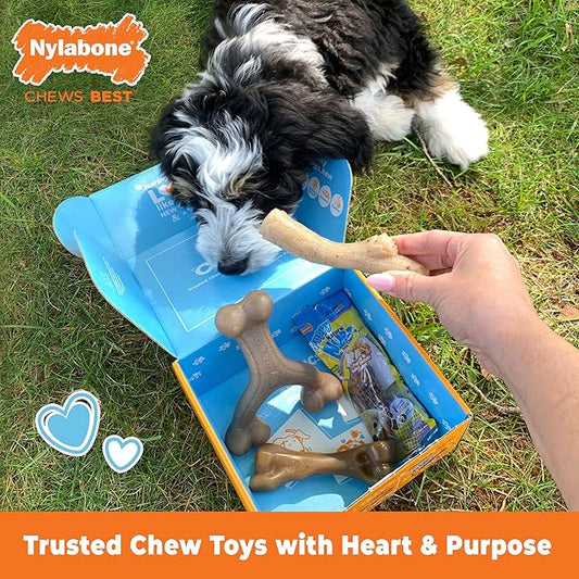 Nylabone Puppy Gift Box, Includes 3 Strong Puppy Chew Toys and 1 Natural Treat Bone for Puppies, Gifts for Puppies, Small Dogs - Up to 25 lbs., 4 Pack