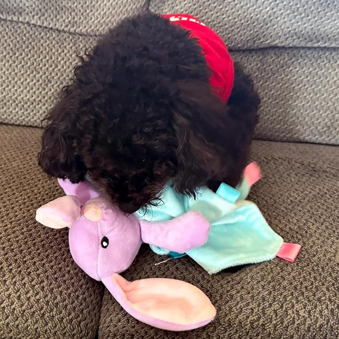 SPOT Soothers - Blanket - Soft and Cuddly Dog & Puppy Toy with Lavender Scented Beads to Calm and Relax Your Pet, Provides Separation Anxiety Relief Due to Travel, Thunder and Loud Noises
