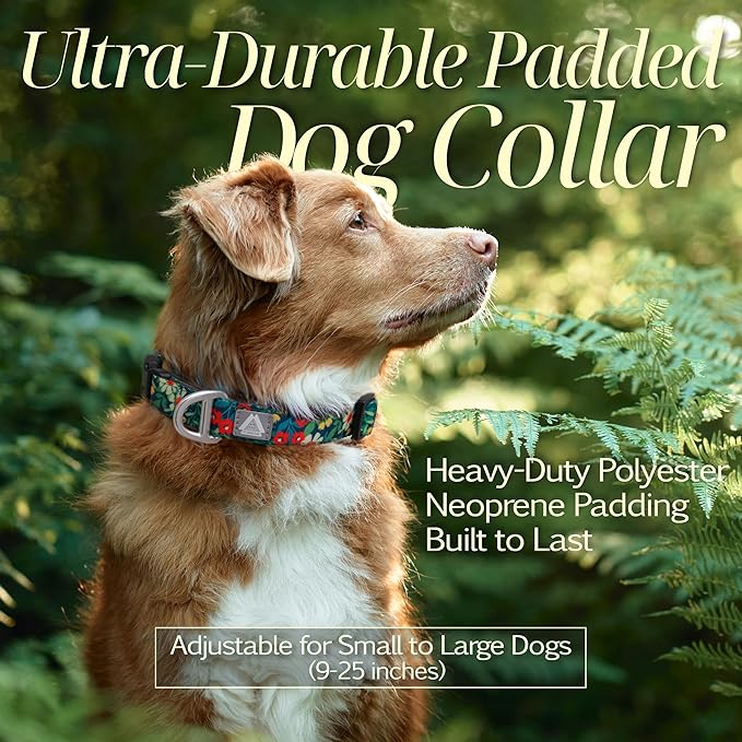 Medium Dog Collar with Reflective Logo and Soft Padded Neoprene,Floral Print Design, Adjustable,Lightweight & Durable, Neck Size 12’’-20’’ (Floral, M)