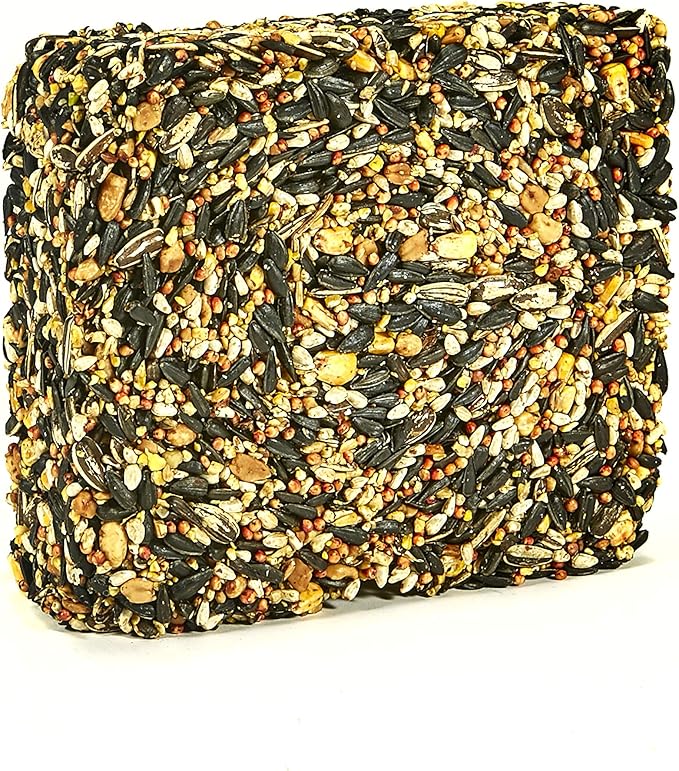 Kaytee Woodpecker Seed Cake, Wild Bird Food, 1.85 Pounds (Pack of 2)