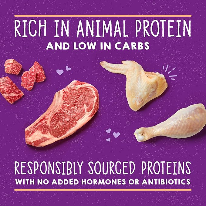 Stella & Chewy's Carnivore Cravings Savory Shreds - Wet Cat Food - High-Moisture Formula with Premium Cage-Free Chicken & Grass-Fed Beef - Perfect for Picky Eaters - 5.2 oz, 24 Count