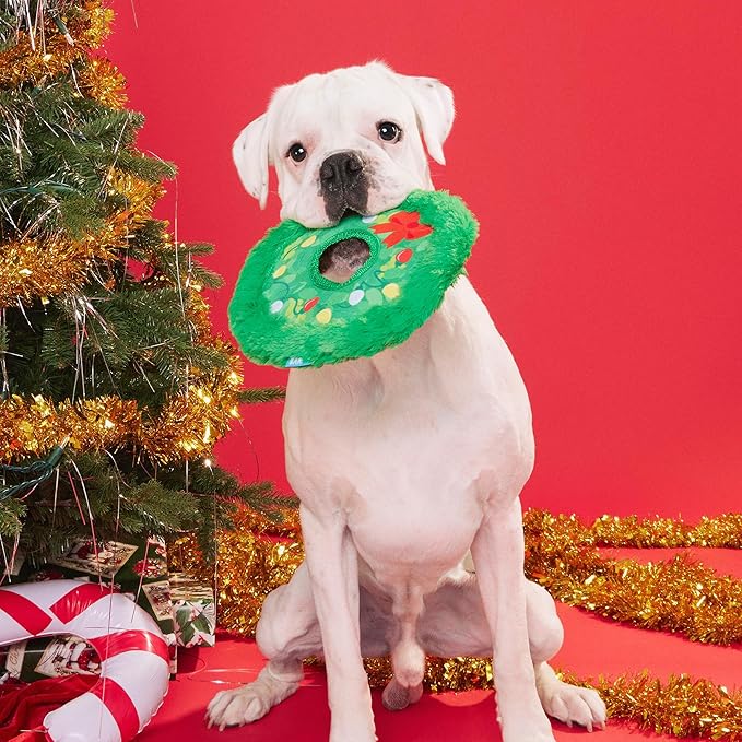 Barkbox Get Lit Wreath Plush Dog Toy - Fetch & Fling Chew Toy Disc with T-Shirt Rope and Crinkle Layers of Dogs and Puppies