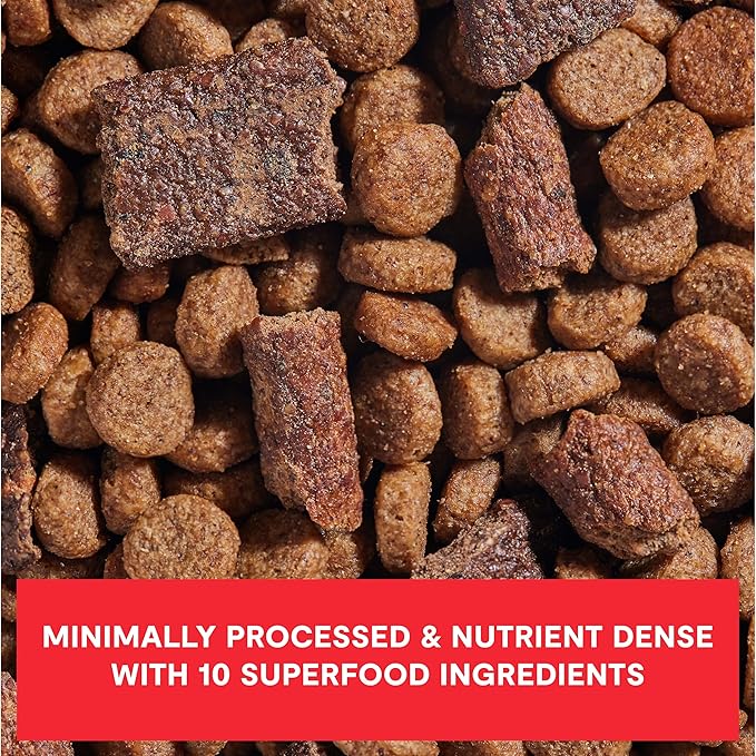 Open Farm, Epic Blend High Protein Dry Dog Food, Probiotic Coated & Bone Broth Infused Kibble with Air Dried Meat & Organs, Minimally Processed & Nutrient Dense, Beef & Superfood Recipe, 18lb Bag