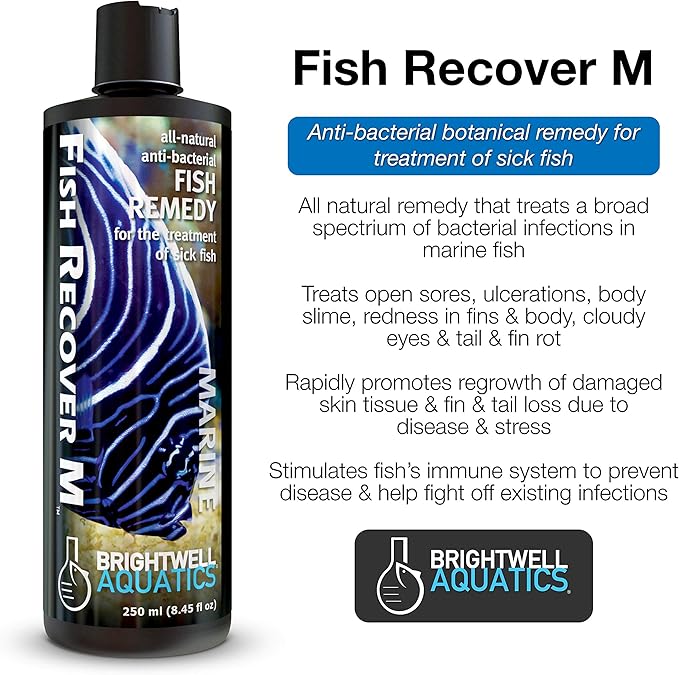 Brightwell Aquatics Fish Recover M – Botanical Remedy for Treating Marine Fish Health Issues, 250 ml