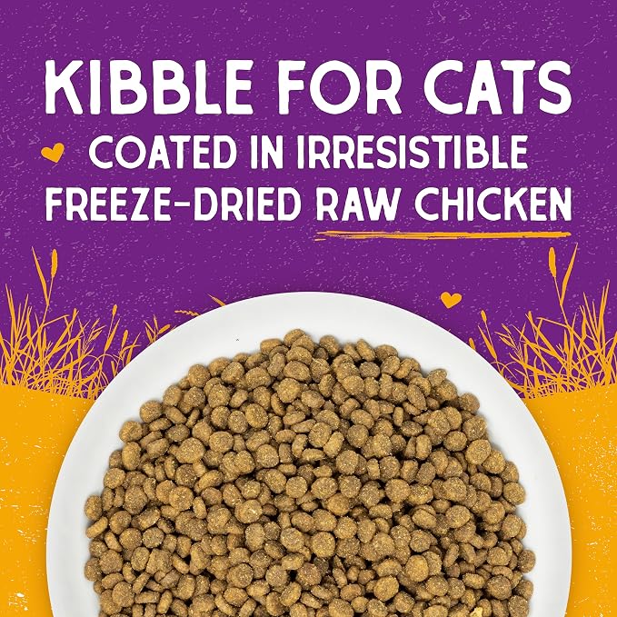 Stella & Chewy's Raw Coated Cat Food - High Protein, Grain-Free Kibble with Cage-Free Chicken - Premium Digestive Support with Probiotics - Natural Small Kibble - Perfect for Picky Eaters - 5 lb Bag