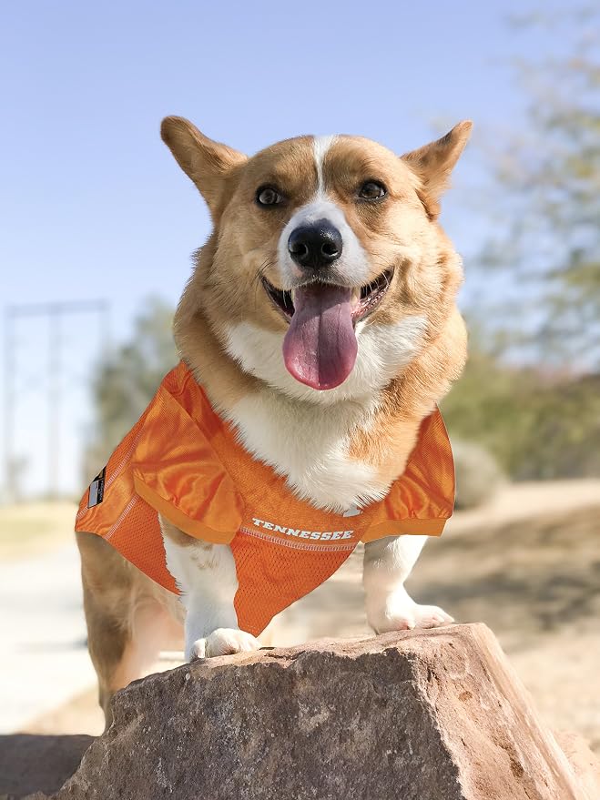 Pets First NCAA College Tennessee Volunteers Mesh Jersey for Dogs & Cats, Size XX-Large, Licensed Dog Jersey with Your Favorite Football/Basketball College Team (Pack of 2)