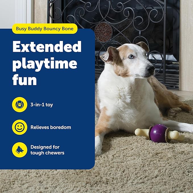 PetSafe Busy Buddy Bouncy Bone, Treat Holding Dog Toy, Small, Best for Dogs Up to 10 Lb.