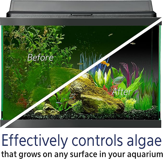 Aqueon Fish Tank Aquarium Algae Remover, 4 oz