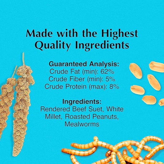 C&S Mealworm Suet Treat, Suet Cakes for Wild Birds, 11 Ounces