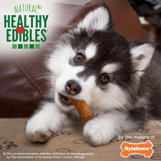 Nylabone Healthy Edibles Natural Puppy Chews Long Lasting Treats for Puppies, Turkey & Sweet Potato Flavor, X-Small/Petite (4 Count) (Pack of 2)