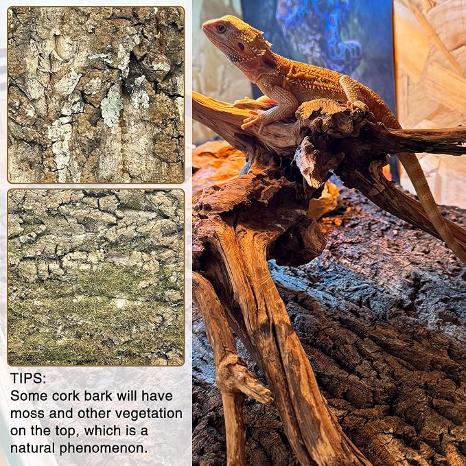 Fhiny 6 PCS Cork Bark Background, 11.6" x 7.7" Natural Cork Bark for Reptiles Bearded Dragon Climbing Backdrop Terrarium Habitat Wall Decor Accessories for Turtle Gecko Lizard Snake Spider Frog