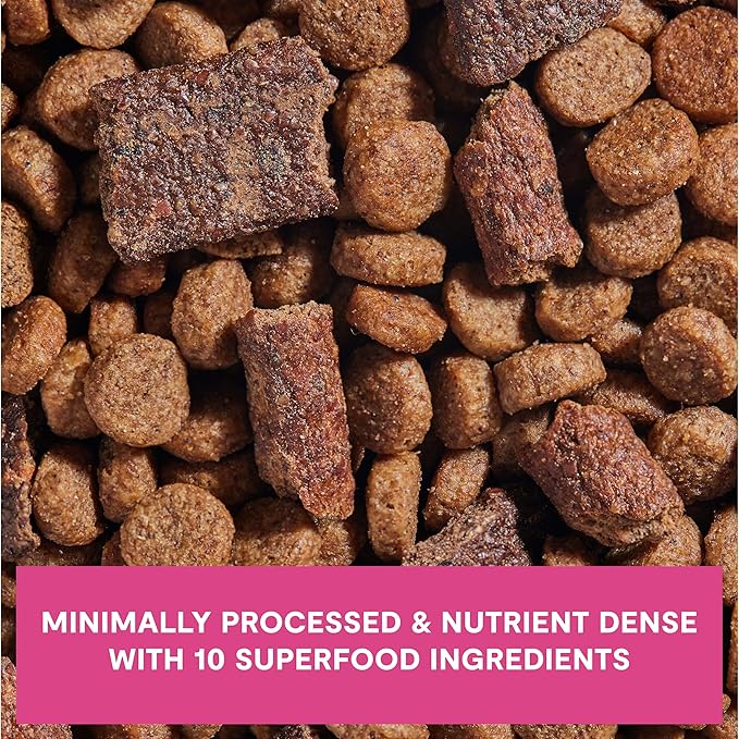 Open Farm, Epic Blend High Protein Dry Dog Food, Probiotic Coated & Bone Broth Infused Kibble with Air Dried Meat & Organs, Minimally Processed & Nutrient Dense, Salmon & Superfood Recipe, 18lb Bag