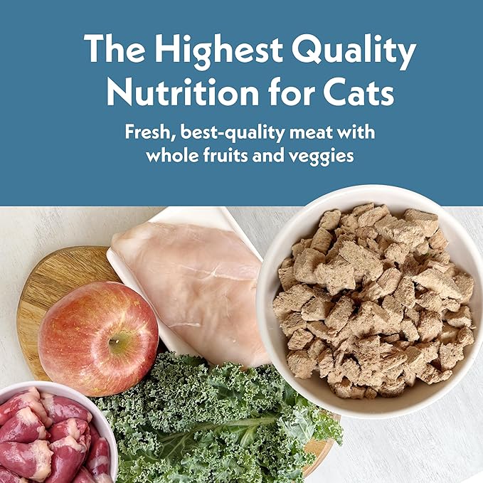 Fresh Is Best Chicken Freeze Dried Cat Food – Raw Cat Food for Kittens & Adult Felines – High-Protein Freeze Dried Raw Chicken in Resealable Zipper Bag – Made in the USA – 8 oz