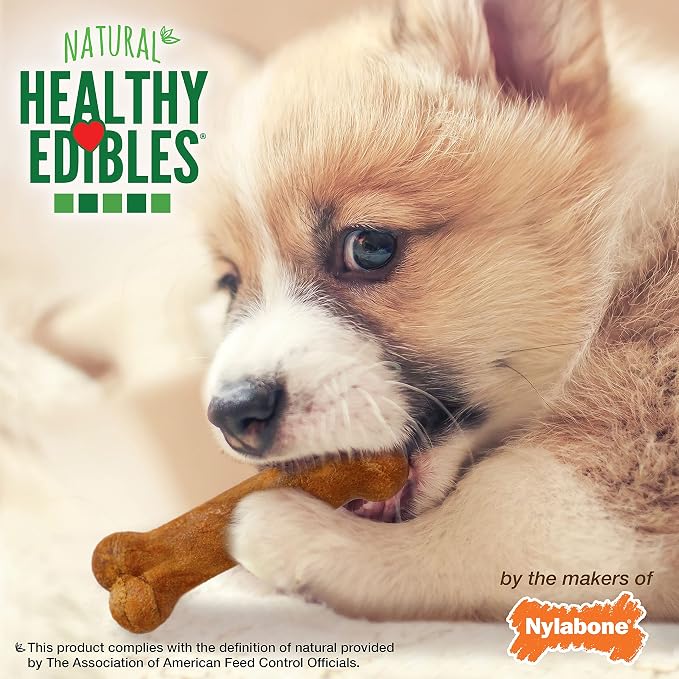 Nylabone Healthy Edibles Natural Puppy Chews Long Lasting Treats for Puppies, Turkey & Sweet Potato Dog Treats, X-Small/Petite (16 Count)