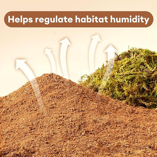 BUCATSTATE 5L Hamster Bedding, Natural Forest Moss Hamster Bedding Odor Control, Nature Hamsters Substrate Cage Accessories for Dwarf Syrian Hamsters, Mice, Gerbils (Dried Moss)