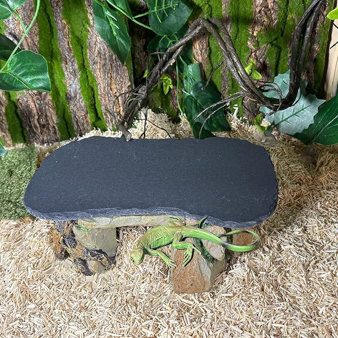 Tfwadmx Reptile Basking Platform,11''x5.5'' Tortoise Rock Plate Feeding Food Bowl Dish Feeding Slate Turtle Bathing Resting Platform for Lizard Gecko Bearded Dragon Chameleon Snake Frog