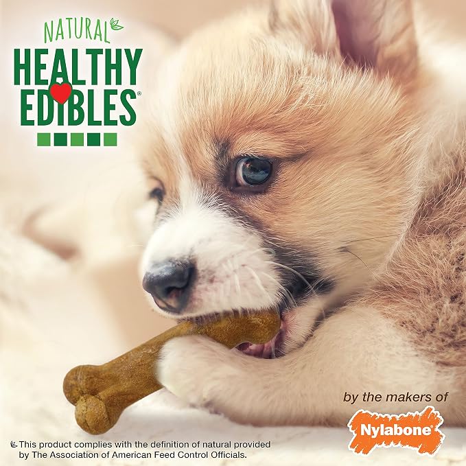 Nylabone Healthy Edibles Natural Puppy Chews Long Lasting Treats for Puppies, Lamb & Apple Dog Treats, X-Small/Petite (8 Count)