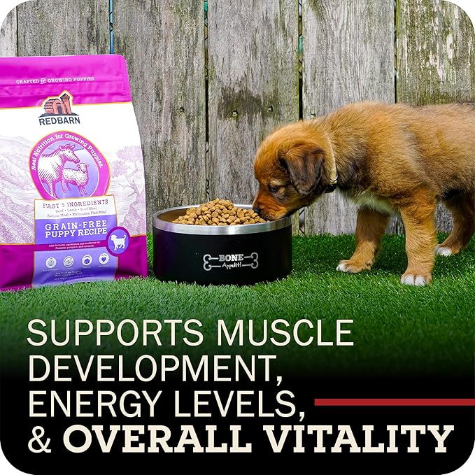Redbarn Whole Grain Large Breed Dog Food 15 lbs - High Protein Beef & Lamb Recipe Dry Kibble with Glucosamine for Adult Dogs - Made in USA Chicken Free Wholesome Formula