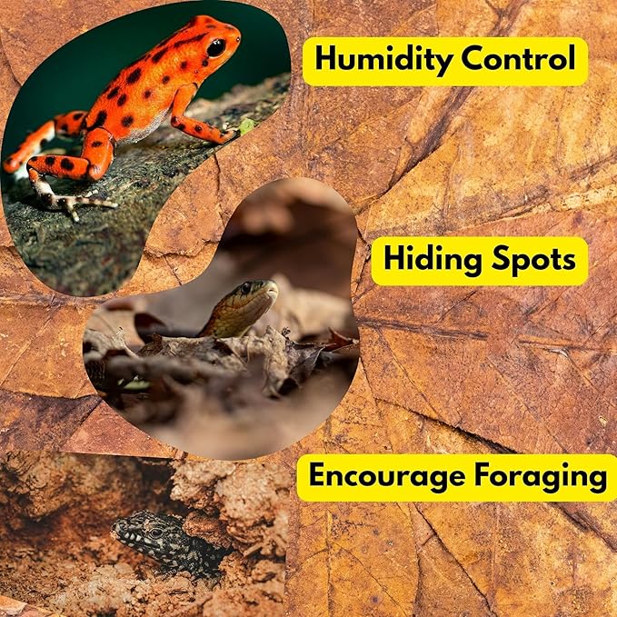 Leaf Litter for Snakes 30Pcs Indian Almond Catappa Leaves 8" Reptile Tank Substrate Corn Snake & Ball Python,Isopods - Maintains Humidity, Bioactive Vivarium Bedding & Terrarium Decor