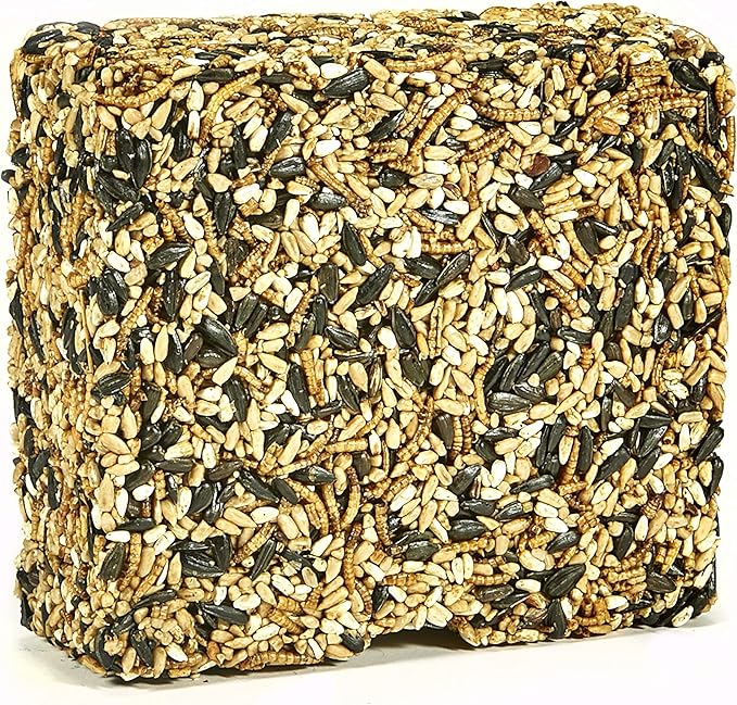 Kaytee Wild Bird Seed & Mealworm Seed Cake Food For Bluebirds, Chickadees, Woodpeckers and More, 1.4 Pound